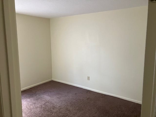 Gallery Photo 4